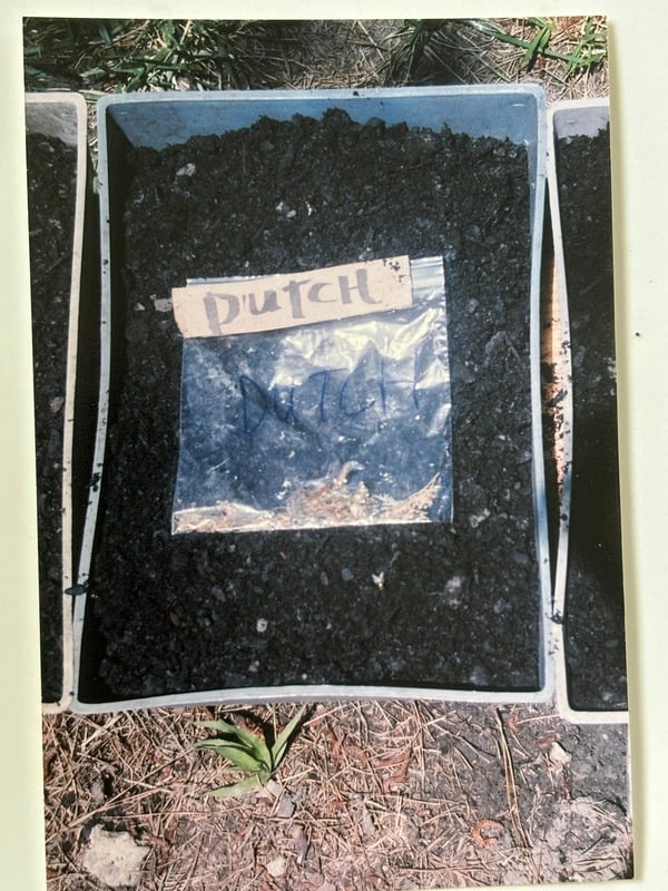 Cultivate — 6