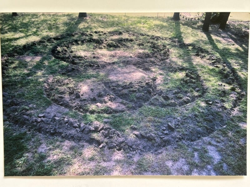 Cultivate — 12