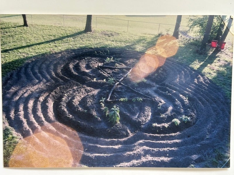 Cultivate — 18
