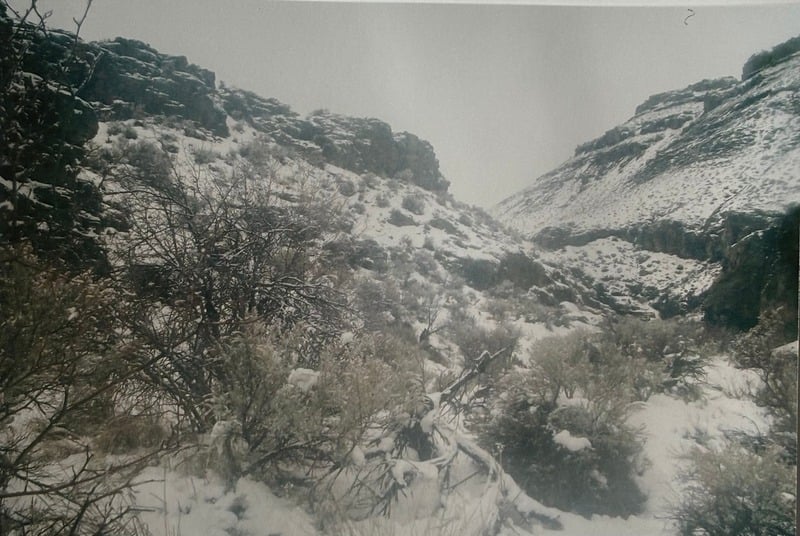 Owyhee/ Vesta — 8