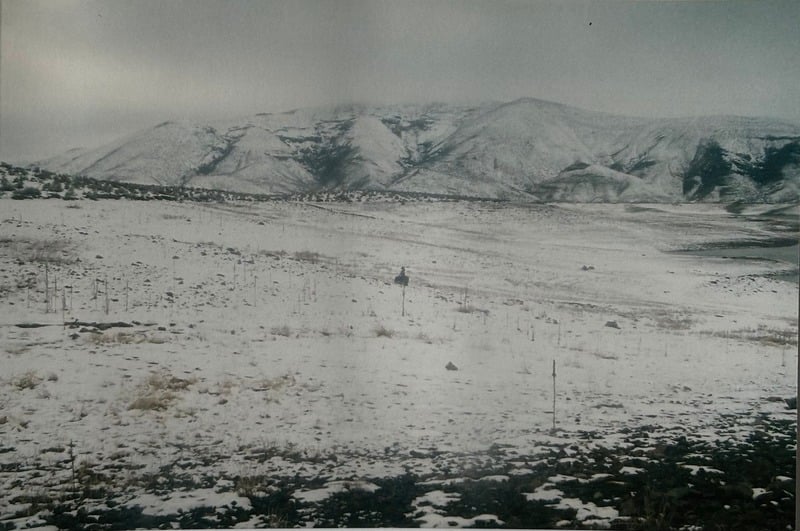 Owyhee/ Vesta — 16