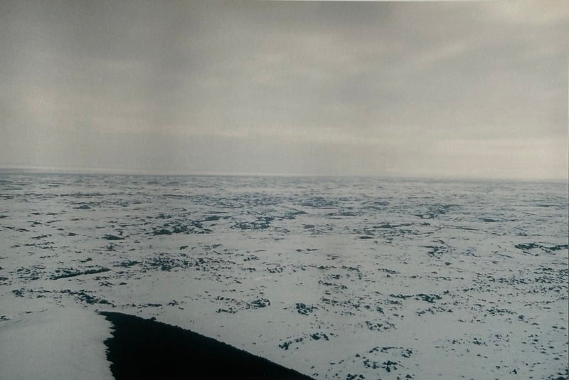 Owyhee/ Vesta — 29