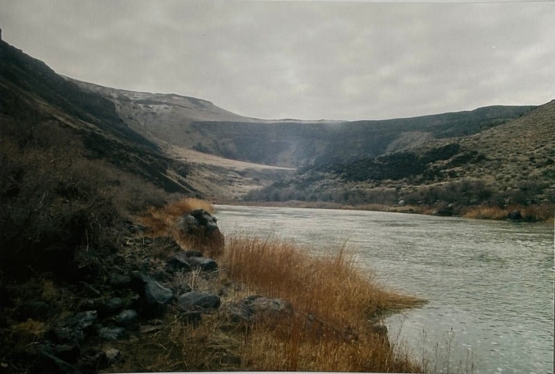 Owyhee/ Vesta — 32