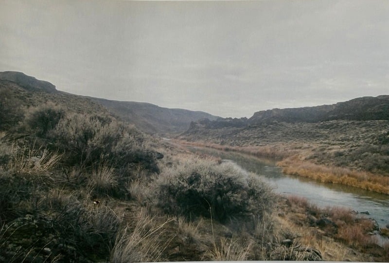 Owyhee/ Vesta — 38