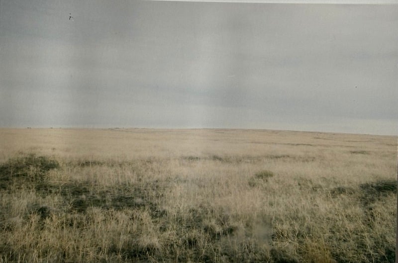 Owyhee/ Vesta — 43