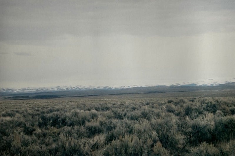 Owyhee/ Vesta — 44