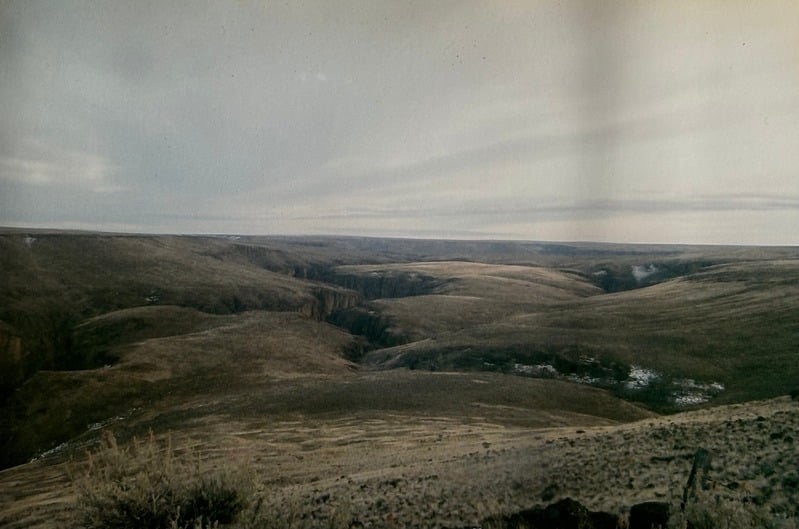 Owyhee/ Vesta — 49