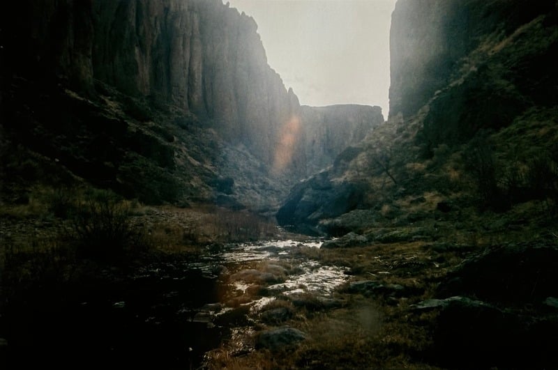 Owyhee/ Vesta — 50