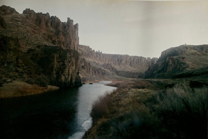 Owyhee/ Vesta — 51