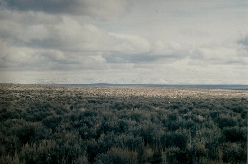Owyhee/ Vesta — 56