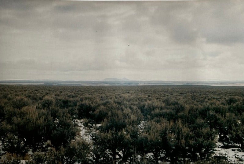 Owyhee/ Vesta — 57