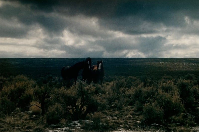 Owyhee/ Vesta — 58