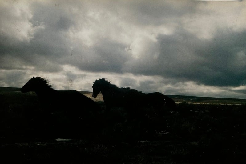 Owyhee/ Vesta — 60