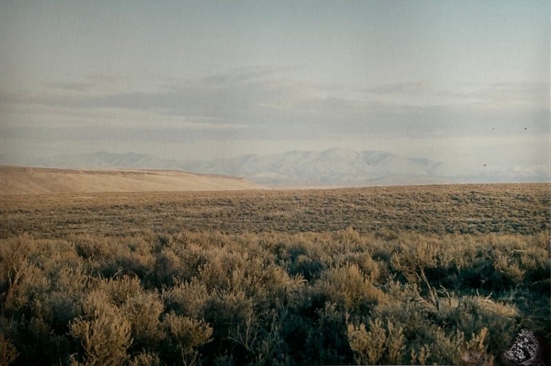 Owyhee/ Vesta — 61
