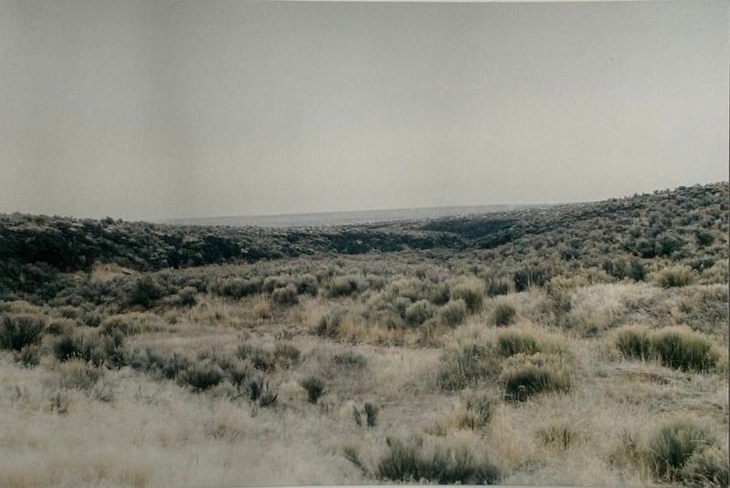 Owyhee/ Vesta — 62