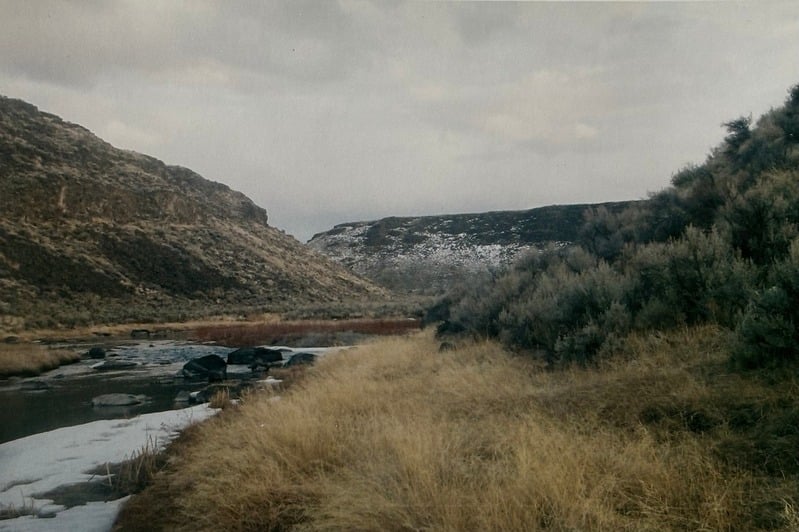 Owyhee/ Vesta — 67
