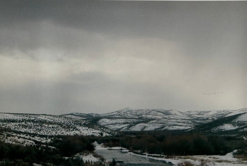 Owyhee/ Vesta — 74