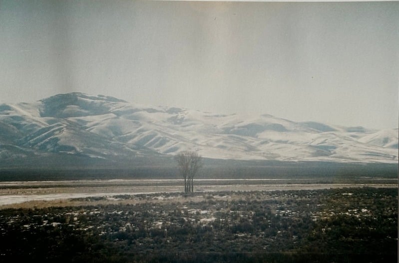 Owyhee/ Vesta — 77