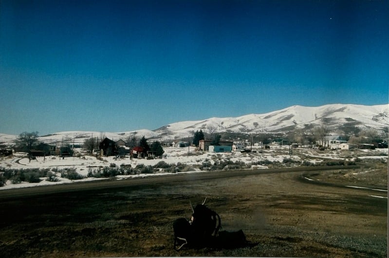 Owyhee/ Vesta — 79