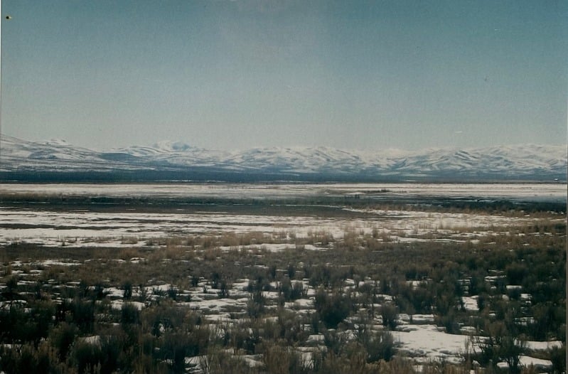 Owyhee/ Vesta — 85