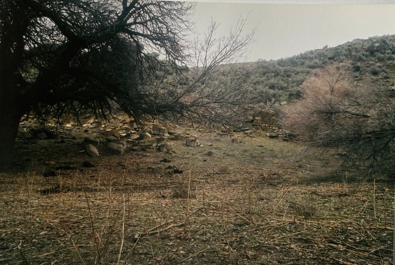 Owyhee/ Vesta — 25