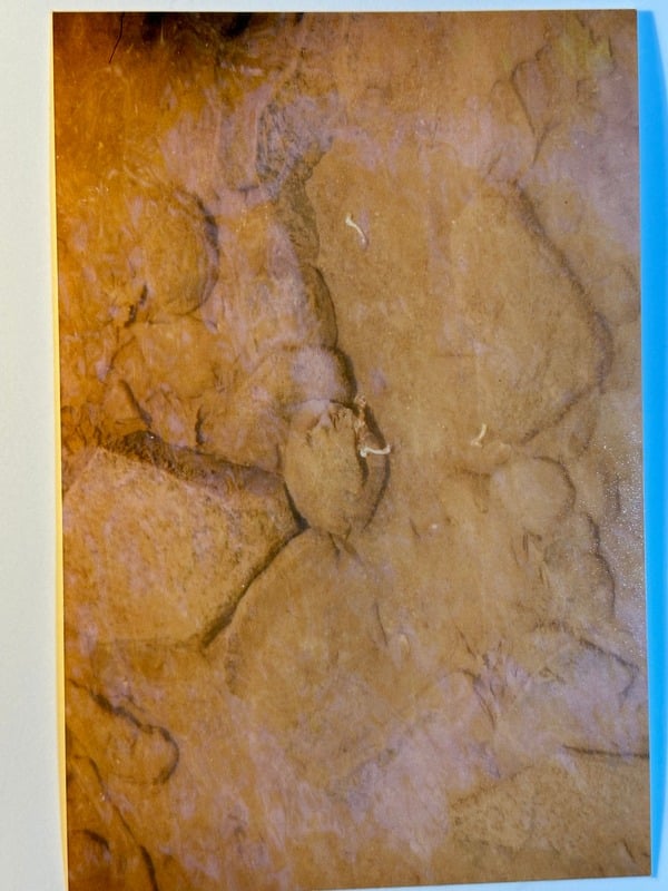 Tuscarora/Moon — 18