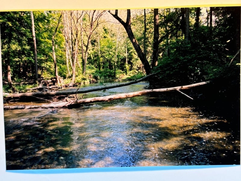 Tuscarora/Moon — 21