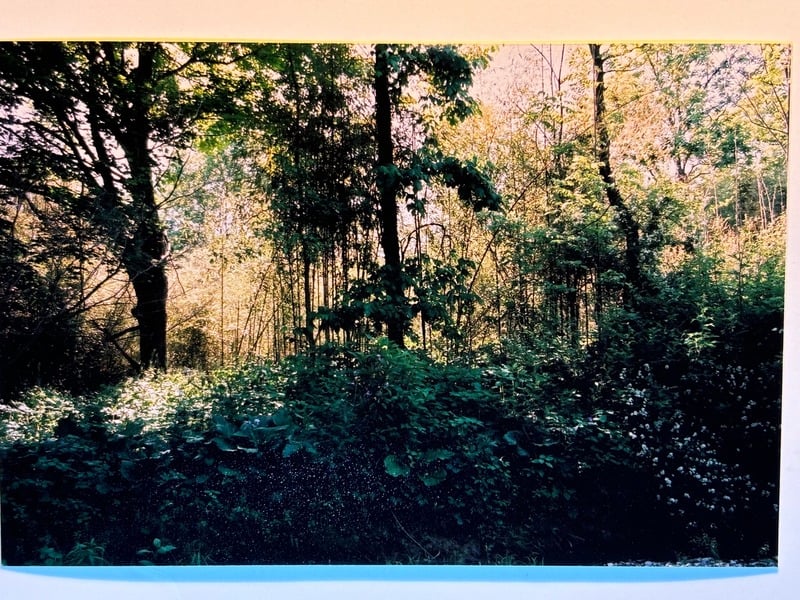 Tuscarora/Moon — 22