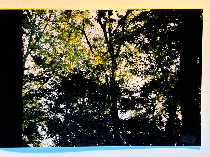 Tuscarora/Moon — 27