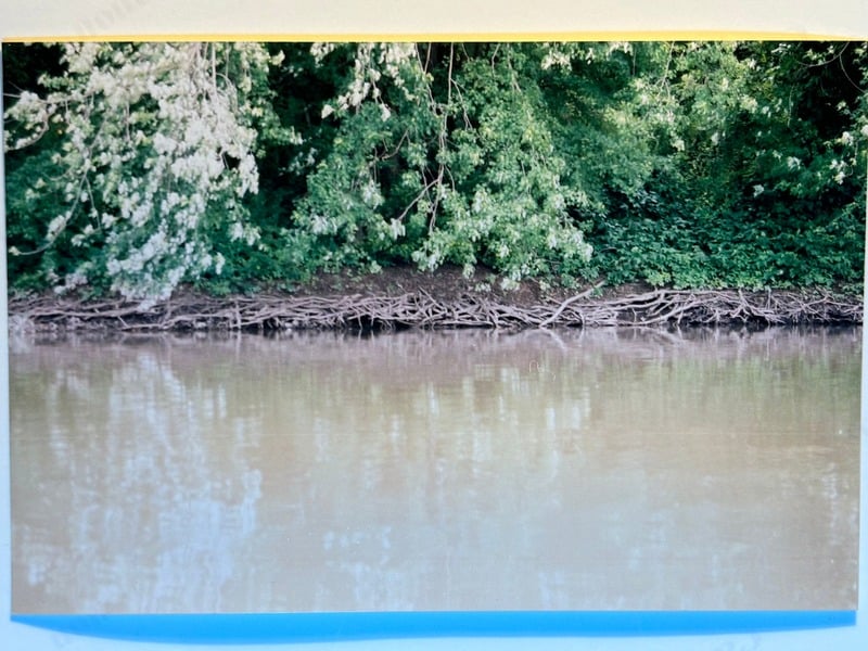 Tuscarora/Moon — 39