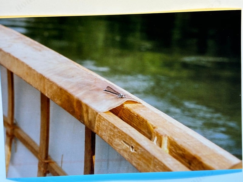 Tuscarora/Moon — 40