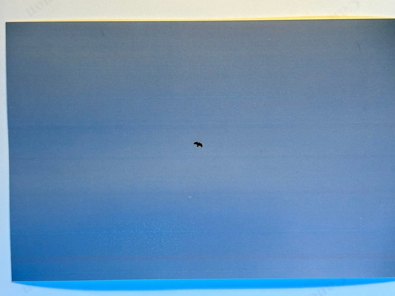 Tuscarora/Moon — 42