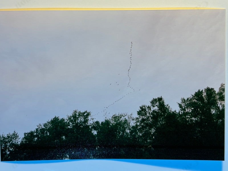 Tuscarora/Moon — 43