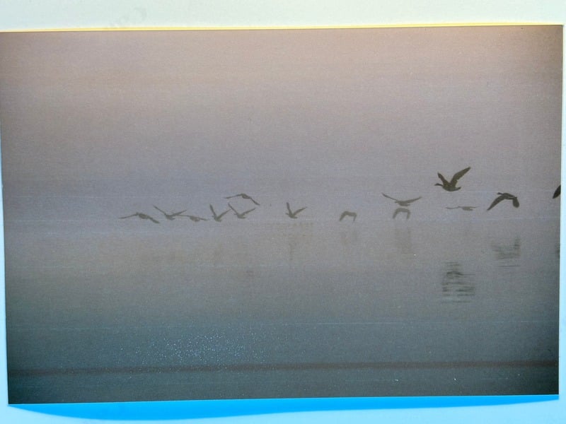 Tuscarora/Moon — 48