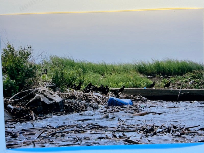 Tuscarora/Moon — 71