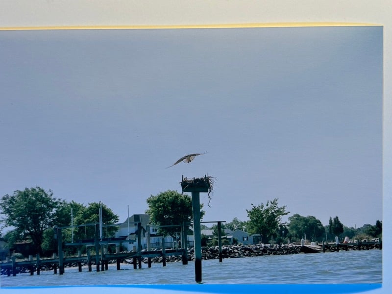 Tuscarora/Moon — 107