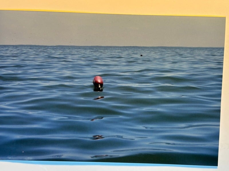 Tuscarora/Moon — 111