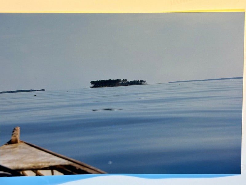 Tuscarora/Moon — 113