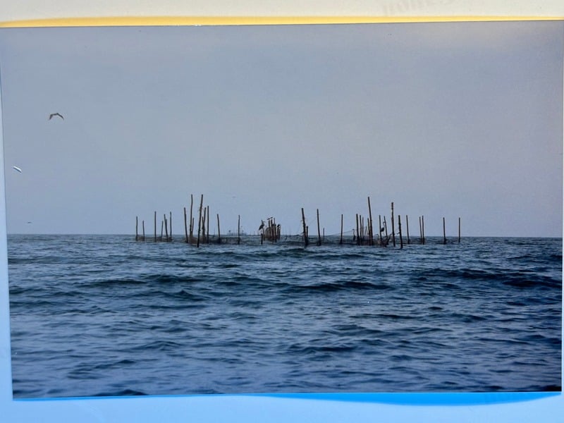 Tuscarora/Moon — 124