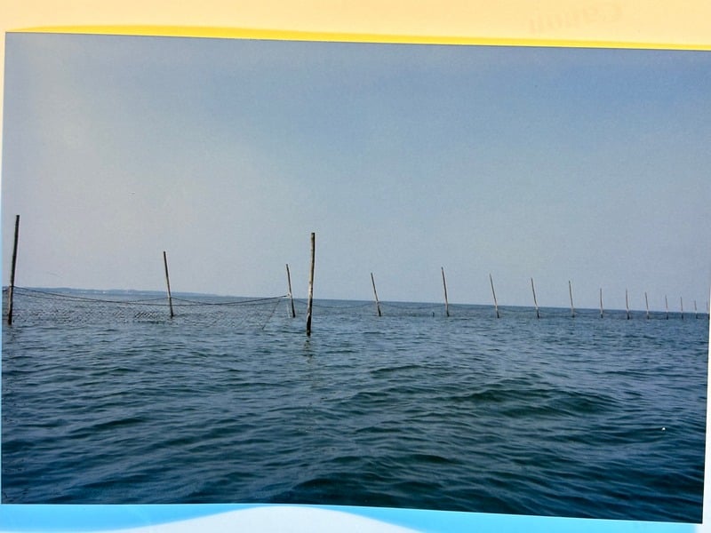 Tuscarora/Moon — 128