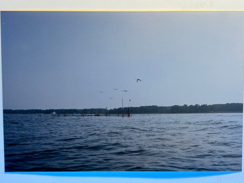 Tuscarora/Moon — 129