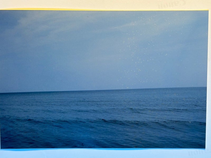 Tuscarora/Moon — 131