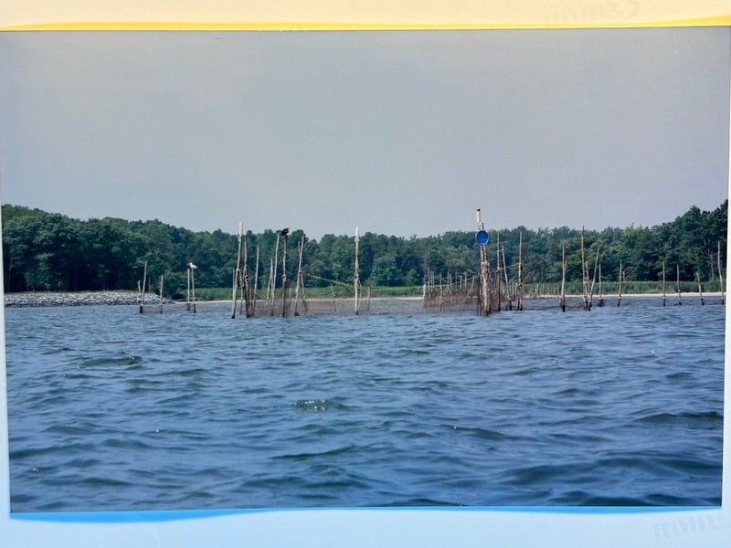 Tuscarora/Moon — 132