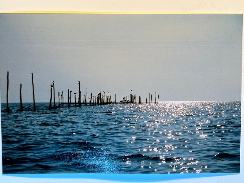 Tuscarora/Moon — 137