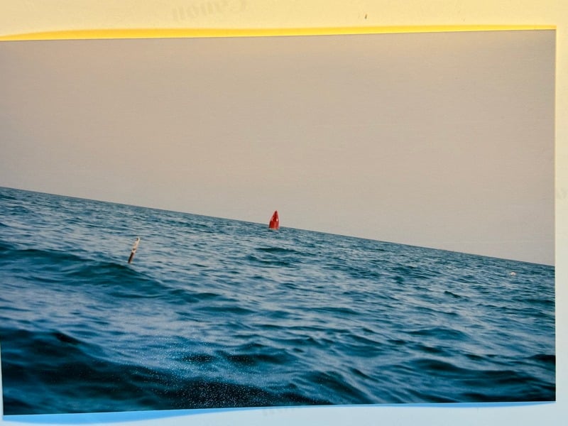 Tuscarora/Moon — 144