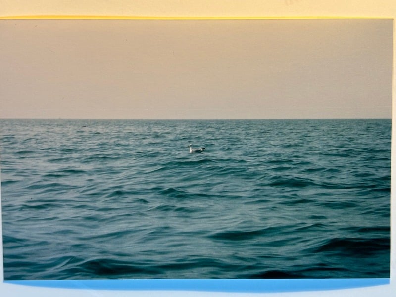 Tuscarora/Moon — 147