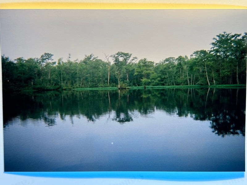 Tuscarora/Moon — 181