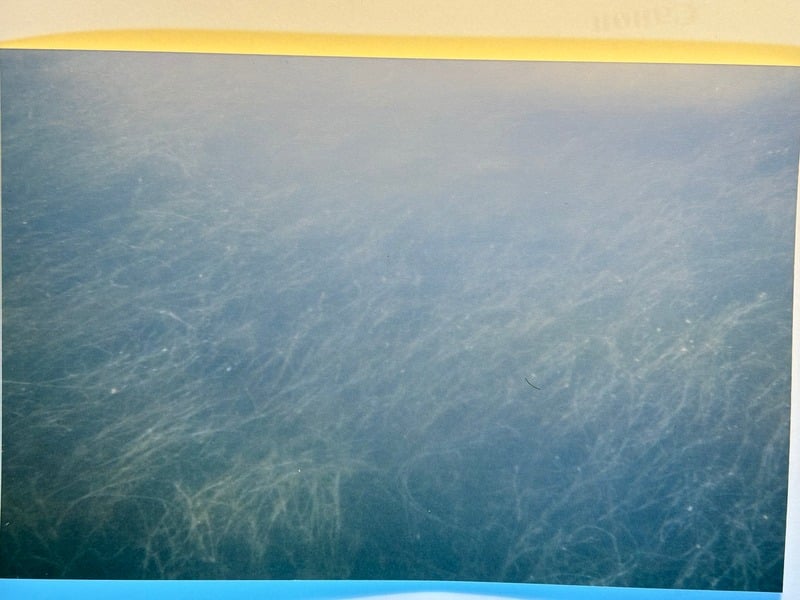 Tuscarora/Moon — 194