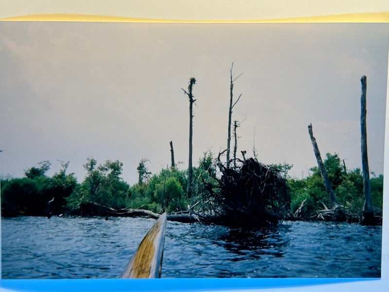 Tuscarora/Moon — 202