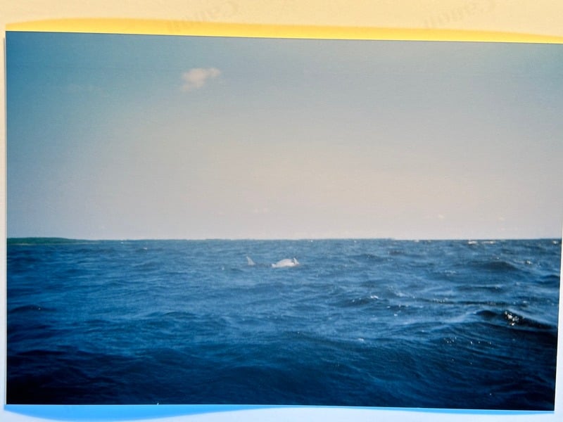 Tuscarora/Moon — 216